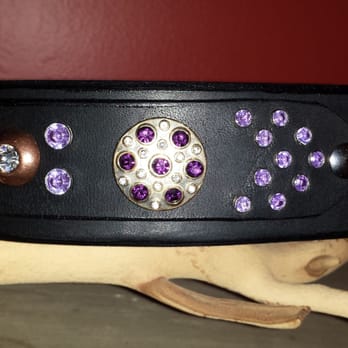 Cerberus Designs - Pretty purple. - Pet Stores Near Me - Halton Hills, Ontario Cerberus Designs - Pretty purple. - Pet Stores Near Me - Halton Hills, Ontario