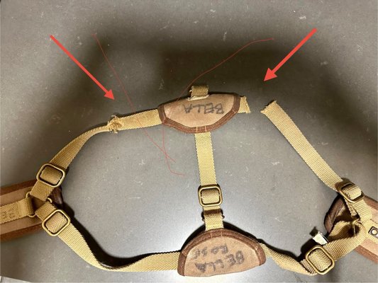 Biscuits & Bath - Upper East Side