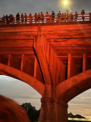 Lone Star Riverboat by null