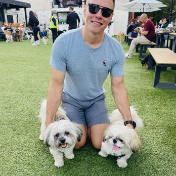 Dog Daze - My pups and I - Social Clubs Near Me - Washington, DC, District of Columbia Dog Daze - My pups and I - Social Clubs Near Me - Washington, DC, District of Columbia