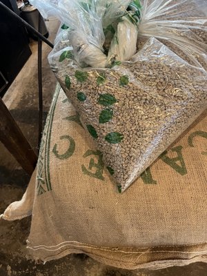 Smoky Hollow Roasters by null