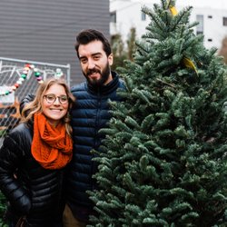 Nonprofit Christmas Tree Sale L'Arche