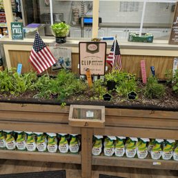 Clip your own herbs!