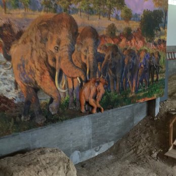 Waco Mammoth National Monument - Museums Near Me - Waco, Texas