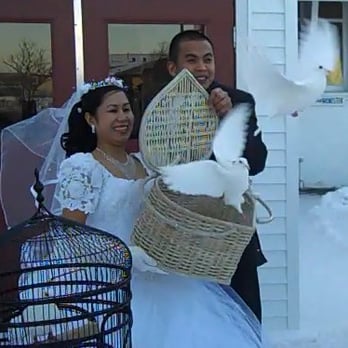 My White Doves - Wedding release from heart-shaped basket - Party & Event Planning Near Me My White Doves - Wedding release from heart-shaped basket - Party & Event Planning Near Me