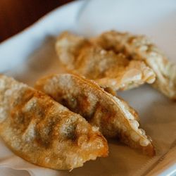 Paik’s Noodle - Fried Dumplings