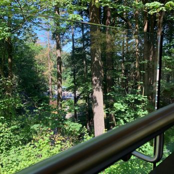 Umami Cafe - Our view! - Cafes Near Me - Portland, Oregon Umami Cafe - Our view! - Cafes Near Me - Portland, Oregon