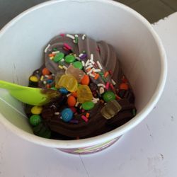 Menchie's Frozen Yogurt - Half cookies and cream, half chocolate. The chocolate was not very sweet.