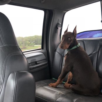 VCA Westside Animal Hospital - Veterinarians Near Me - Pearland, Texas VCA Westside Animal Hospital - Veterinarians Near Me - Pearland, Texas