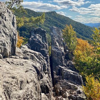 Dolly Sods Wilderness - Seneca rocks - Hiking Near Me - Davis, West Virginia