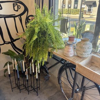 Seven Made - Inside - Coffee & Tea Near Me - Clermont, Florida