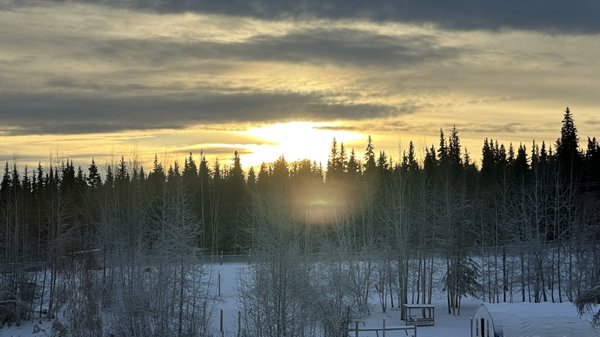 Large Animal Research Station by null