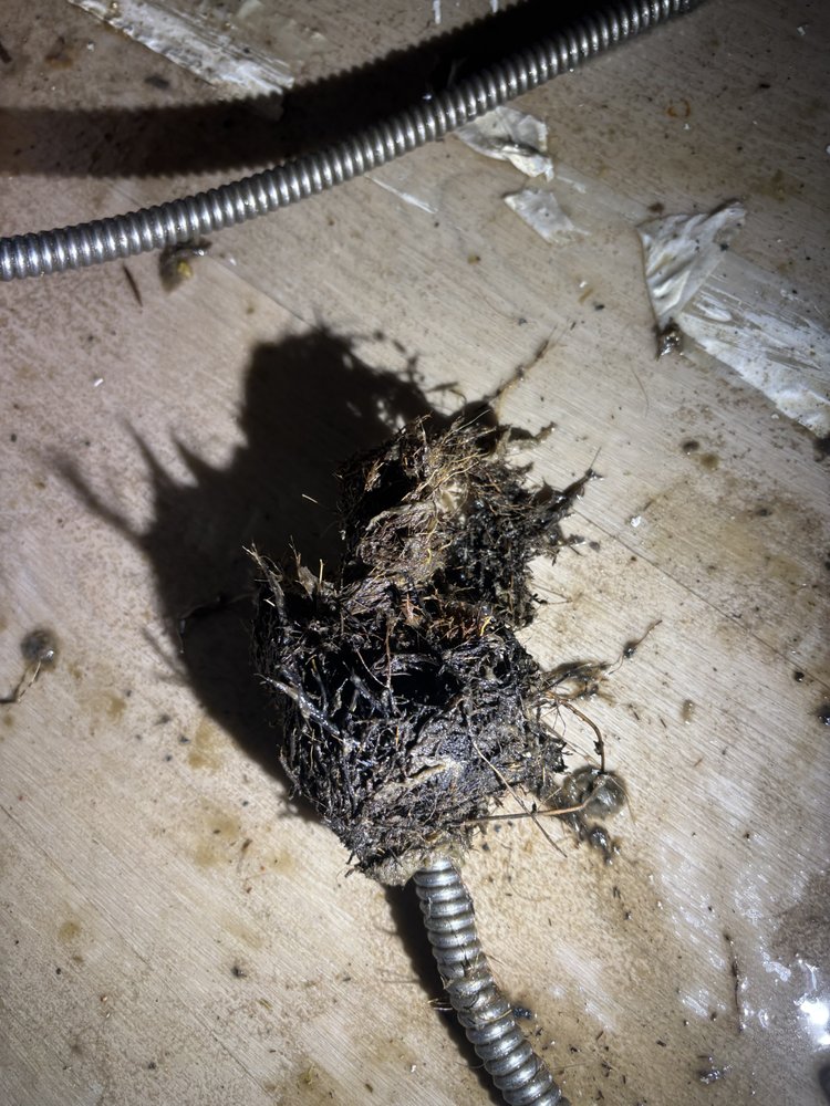 Slide of Rodri’s Rooter