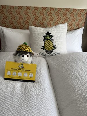 Watertown Hotel - A Staypineapple Hotel by null