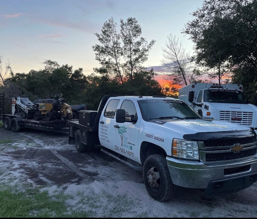 Your Tree Service - tree service in DeLand, FL