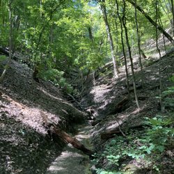 Detweiller Park