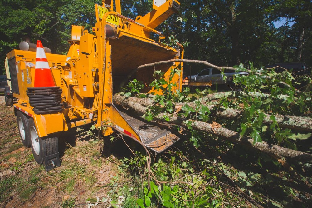 AM TREE AND LANDSCAPE 12 Reviews Tree Services West