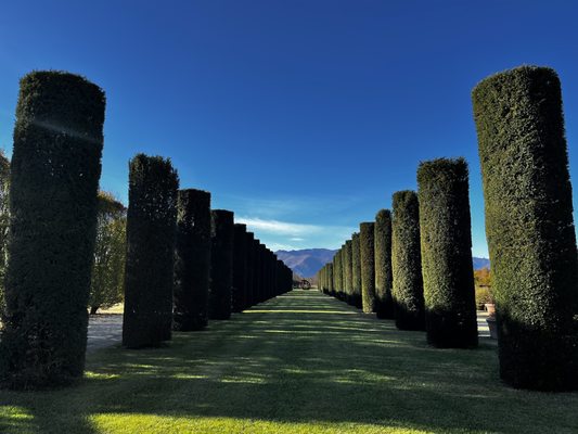 La Venaria Reale by null