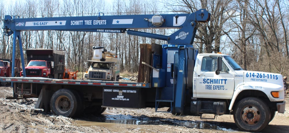 Schmitt Tree Experts - tree service in Columbus, OH