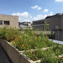Koninklijke Bibliotheek van België - Zonnige lunchplek!