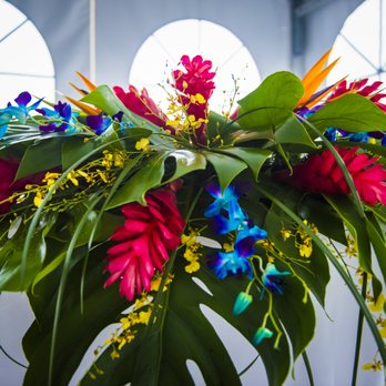 Hamiltons Florist St. Petersburg - Florists Near Me - Saint Petersburg, Florida Hamiltons Florist St. Petersburg - Florists Near Me - Saint Petersburg, Florida