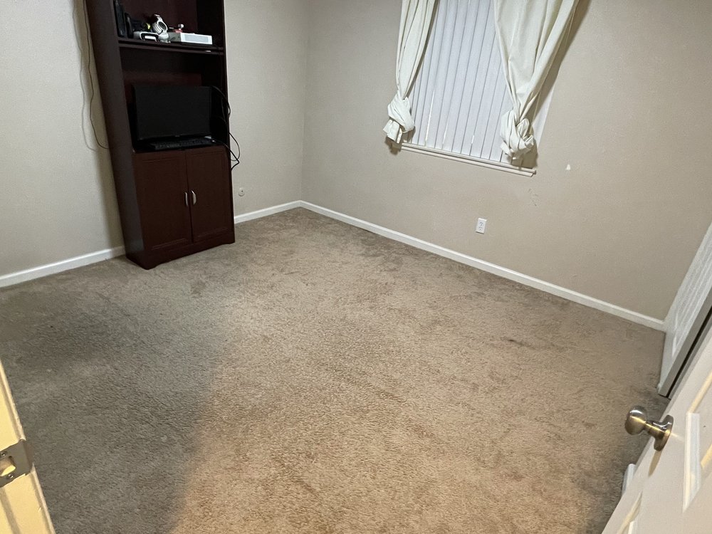 STEVE’S CARPET CARE Updated August 2024 44 Photos & 38 Reviews