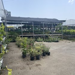 The Home Store