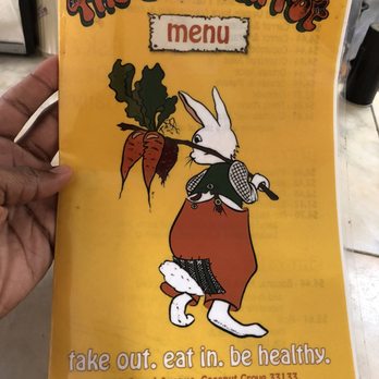 The Last Carrot - Take Out. Eat In. Be Healthy - Vegetarian Near Me - Miami, Florida The Last Carrot - Take Out. Eat In. Be Healthy - Vegetarian Near Me - Miami, Florida