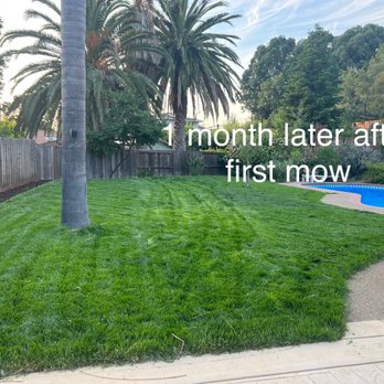 BDC Landscape - 1 month of after install after first mow. Sod has established well--no dead patches! - Landscaping Near Me BDC Landscape - 1 month of after install after first mow. Sod has established well--no dead patches! - Landscaping Near Me