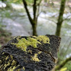 Tumwater Historical Park