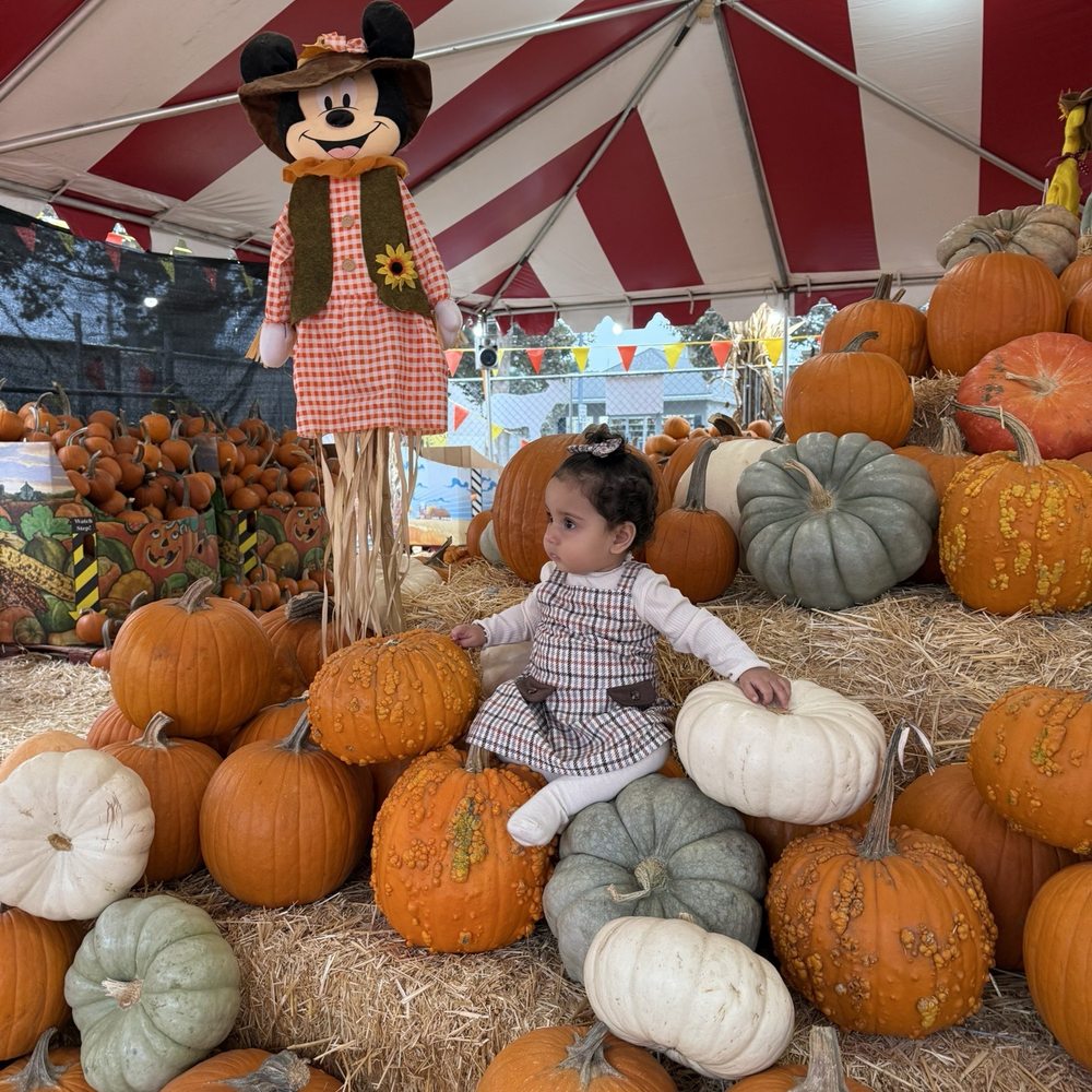 Pumpkins