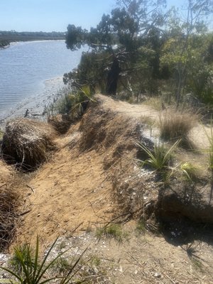 Edisto Beach State Park by null