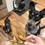 Photo of Chuck & Don's Pet Food & Supplies