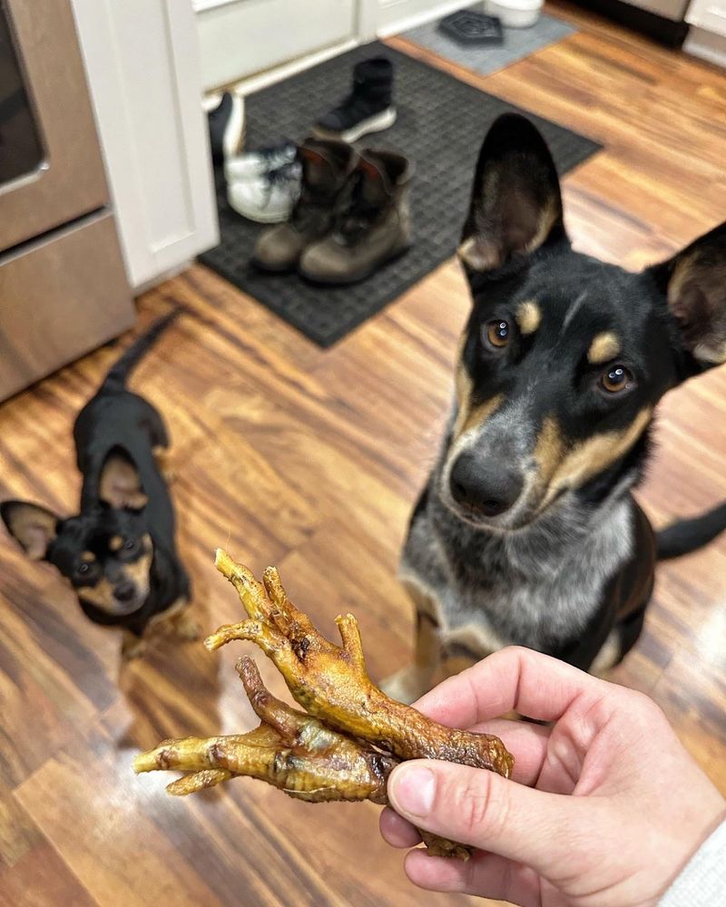 CHUCK & DON’S PET FOOD & SUPPLIES Updated October 2024 16 Photos