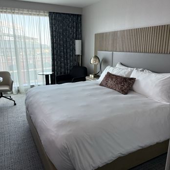 Loews - My room - Hotels Near Me - Arlington, Texas Loews - My room - Hotels Near Me - Arlington, Texas