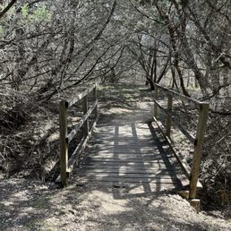 Bridge on a trail in the backcountry Bridge on a trail in the backcountry