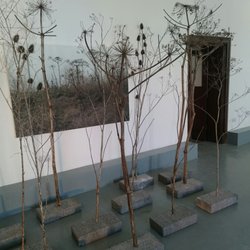 Lewisham ArtHouse