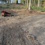 Photo of JS Lawn Care & Brush Control