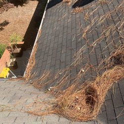Hernandez wash - Before gutter cleaning.