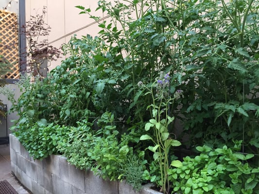 The Jackalope Grill by null