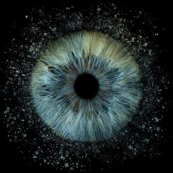 Iris Galerie - My right iris - Photography Stores & Services Near Me - Toronto, Ontario