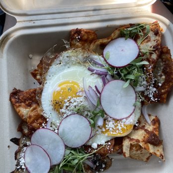 Lost Parrot Cafe - Chiliaquiles Breakfast - Breakfast & Brunch Near Me - South Pasadena, California Lost Parrot Cafe - Chiliaquiles Breakfast - Breakfast & Brunch Near Me - South Pasadena, California
