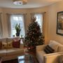 Photo of Jim's Christmas Trees