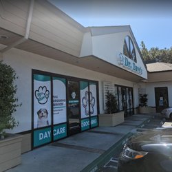 Dave's Doggy Daycare, Boarding, & Grooming