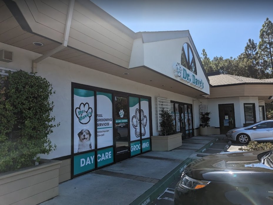 Dr Dave's - pet boarding facility in Saratoga, CA
