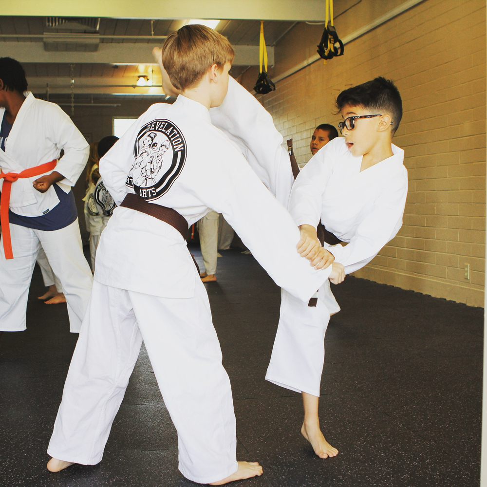 Martial Arts Revelation Logo