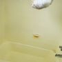 Photo of Madrinas Cleaning