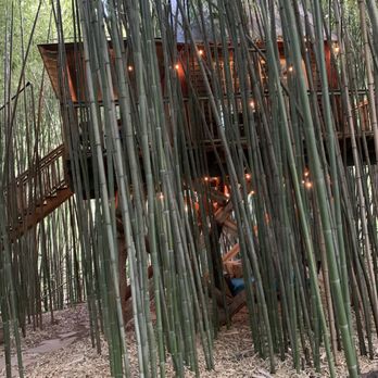 Alpaca Treehouse in the Bamboo Forest - Vacation Rentals Near Me - Atlanta, Georgia