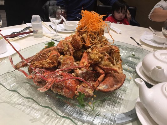 Captain's Catch by null