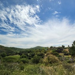 Cleveland National Forest
